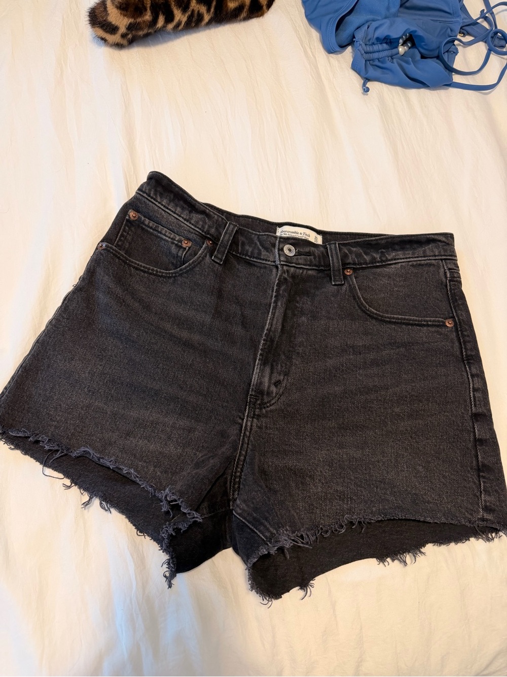 Abercrombie & Fitch Shorts